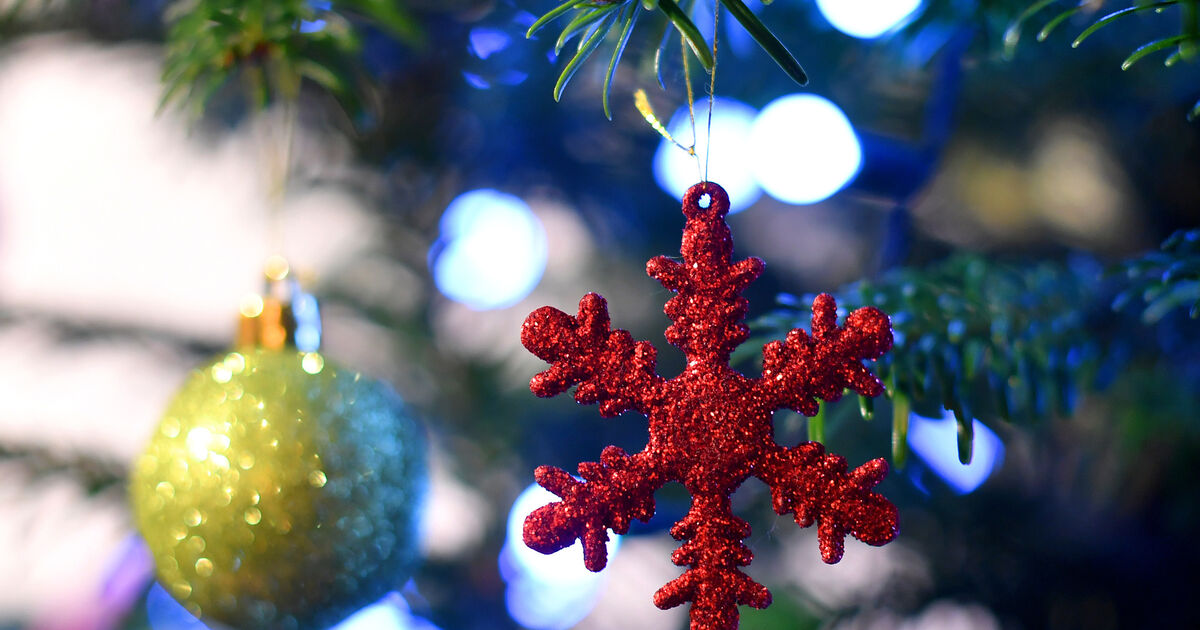 Free Christmas tree drop off points across Cork - Vimarsana News