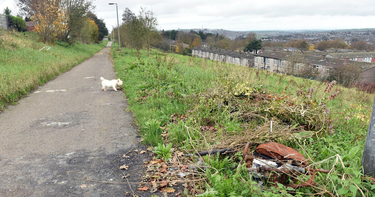 Northside Cork city's Tarry Path is a for bad behaviour and