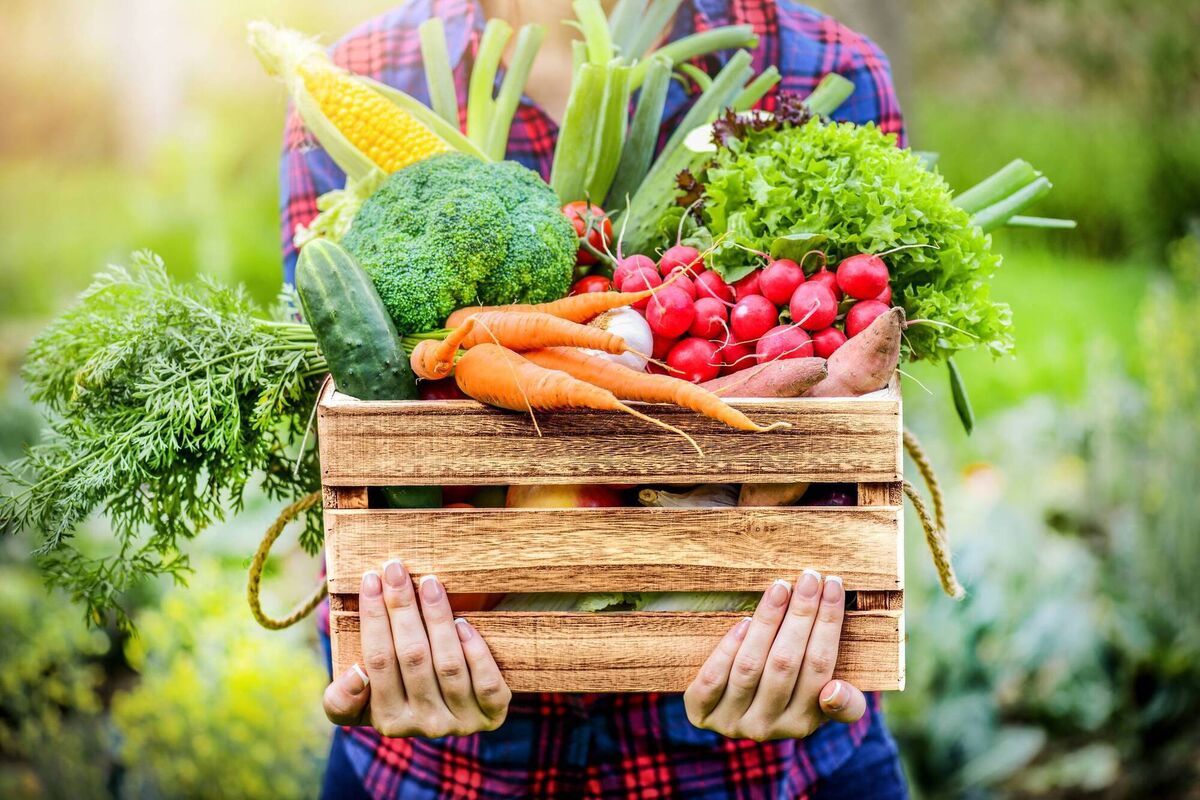 Focus on the ‘more’ principle. You know you ‘should’ be eating nutritious food - replace that with you will eat ‘more’.