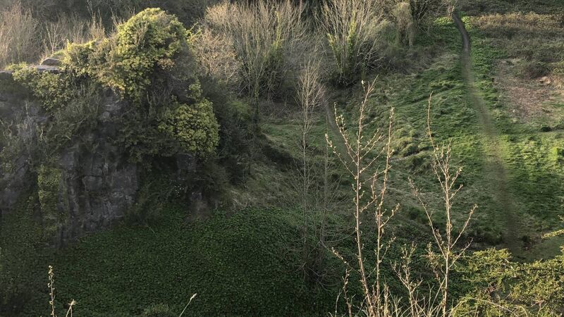 BusConnects officials urged to formally take Beaumont Quarry proposals off the table 