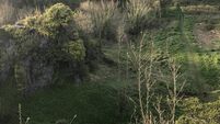 BusConnects officials urged to formally take Beaumont Quarry proposals off the table 