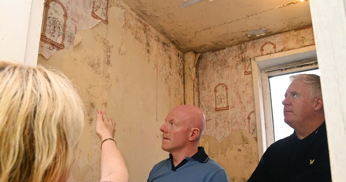 'We can't live like this for another year', says resident of Cork flat - Vimarsana News