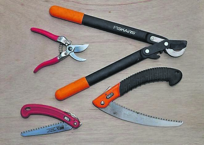 Pruning saws, loppers and secateurs, some of the most important pruning tools Pruning saws, loppers and secateurs, some of the most important pruning tools