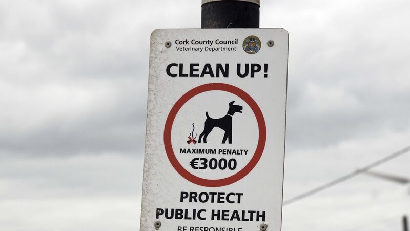 More resources needed to tackle litter and dog fouling in Cork county More resources needed to tackle litter and dog fouling in Cork county