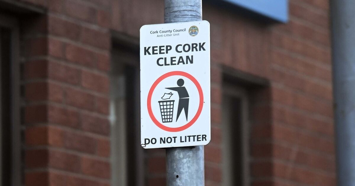 Mixed results for different areas of Cork in latest litter survey - Vimarsana News
