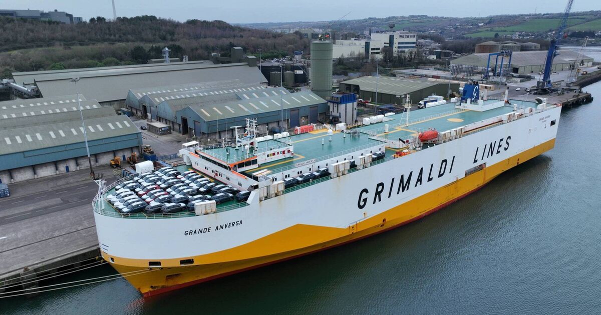 Port of Cork exploring development of multi-storey car storage facility in Ringaskiddy - Vimarsana News