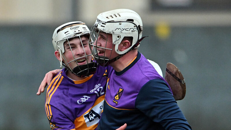 All-Ireland Junior Hurling final: Eoin Davis and St Catherine's ready for last step