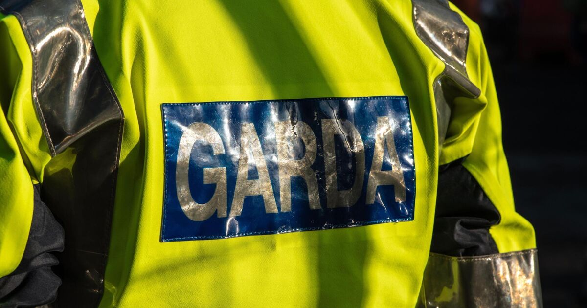 Suspected petrol bombs and machetes among discoveries during search operation in Charleville - Vimarsana News