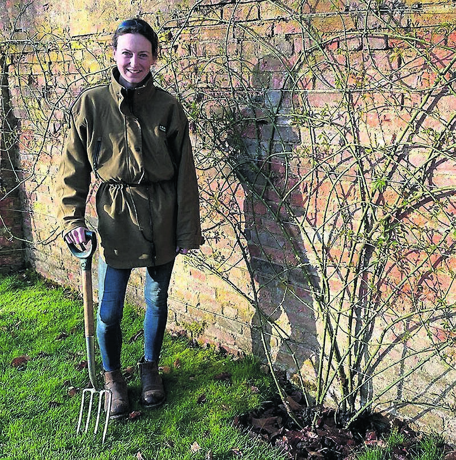 Jenny Barnes, the head gardener at Cottesbrook Hall in Northamptonshire, England, and (right) one of her sculptural rose creations