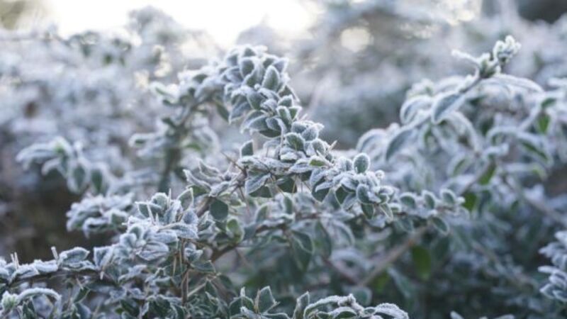 Freezing temperatures cause travel disruption as new ice warnings issued Freezing temperatures cause travel disruption as new ice warnings issued