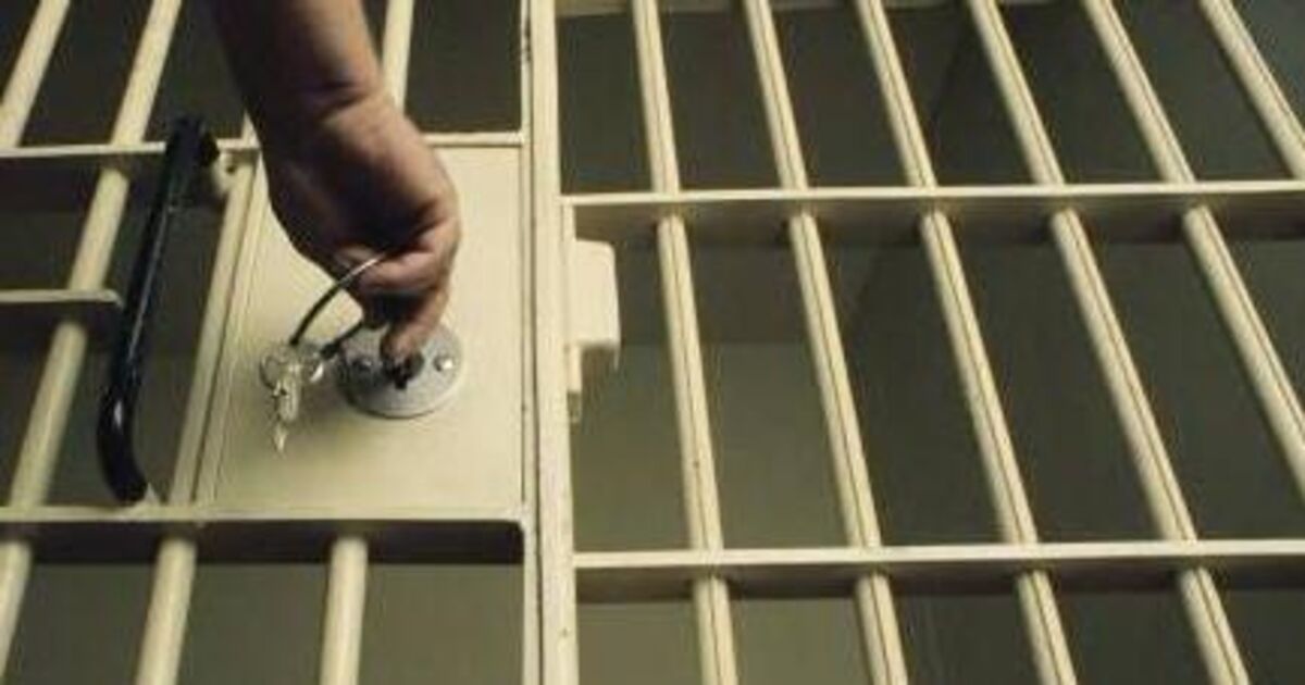 Cork man who bit garda's hand as he was arrested is jailed - Vimarsana News