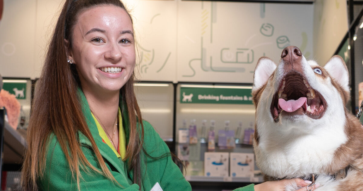 'A testament to our huge growth': Maxi Zoo opens new Cork store - Vimarsana News