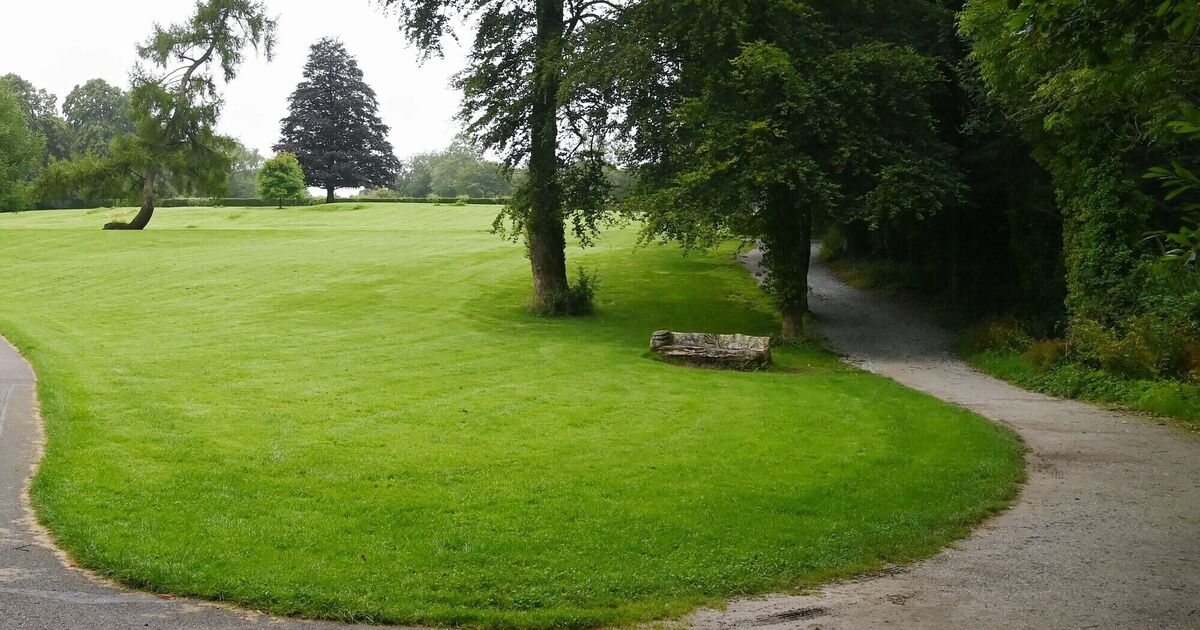 Design team to be appointed to create masterplan for new public park in Cork city - Vimarsana News