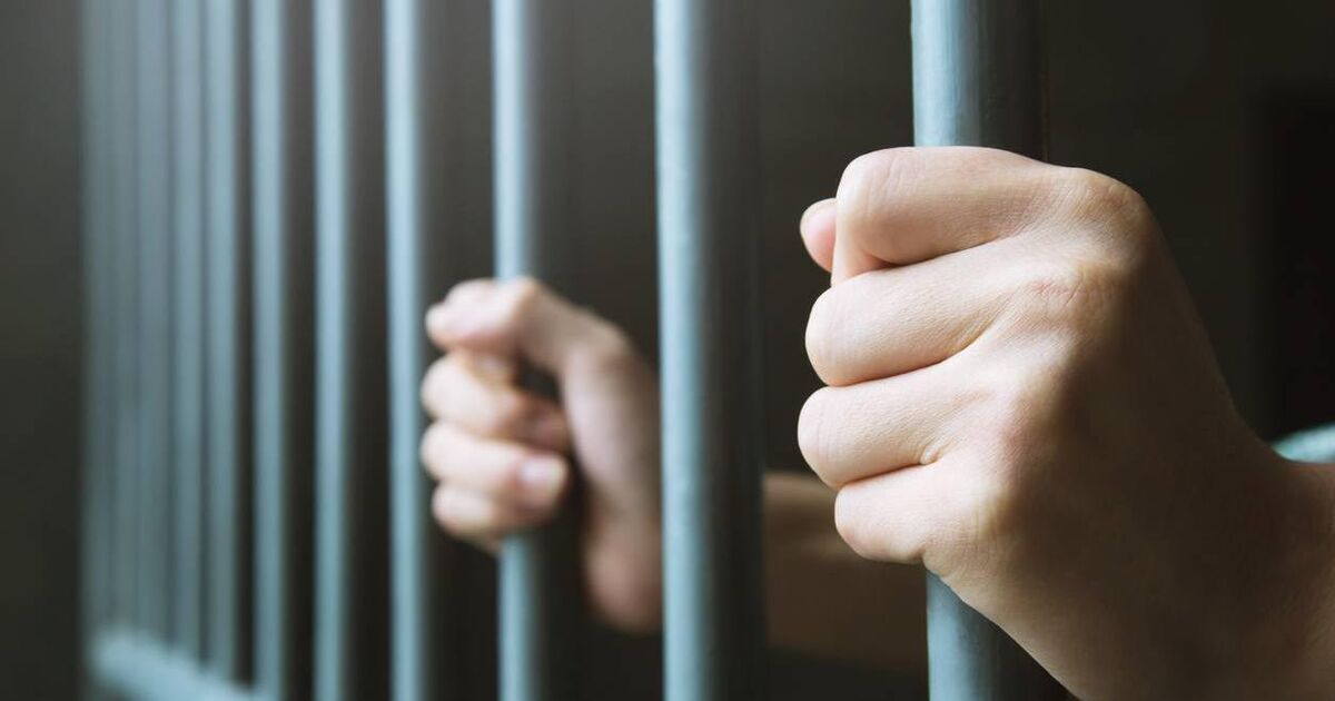 Man who breached safety order by putting mother in fear jailed - Vimarsana News