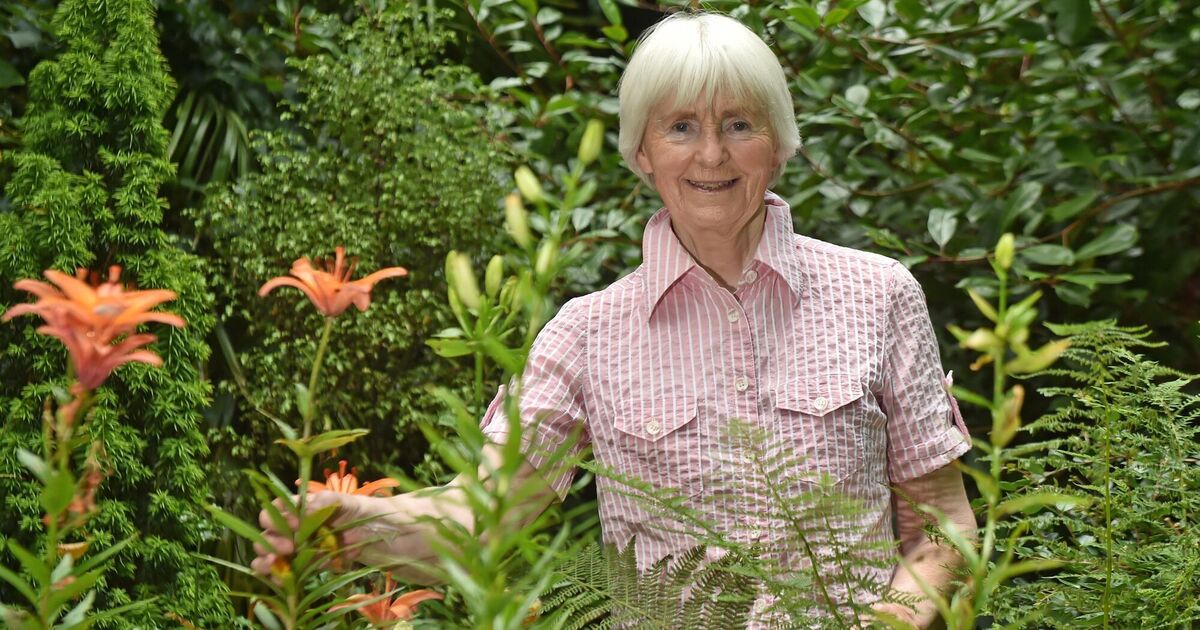 Cork author Alice Taylor to be inducted into the Hall of Fame at Cork Person(s) of the Year Awards - Vimarsana News