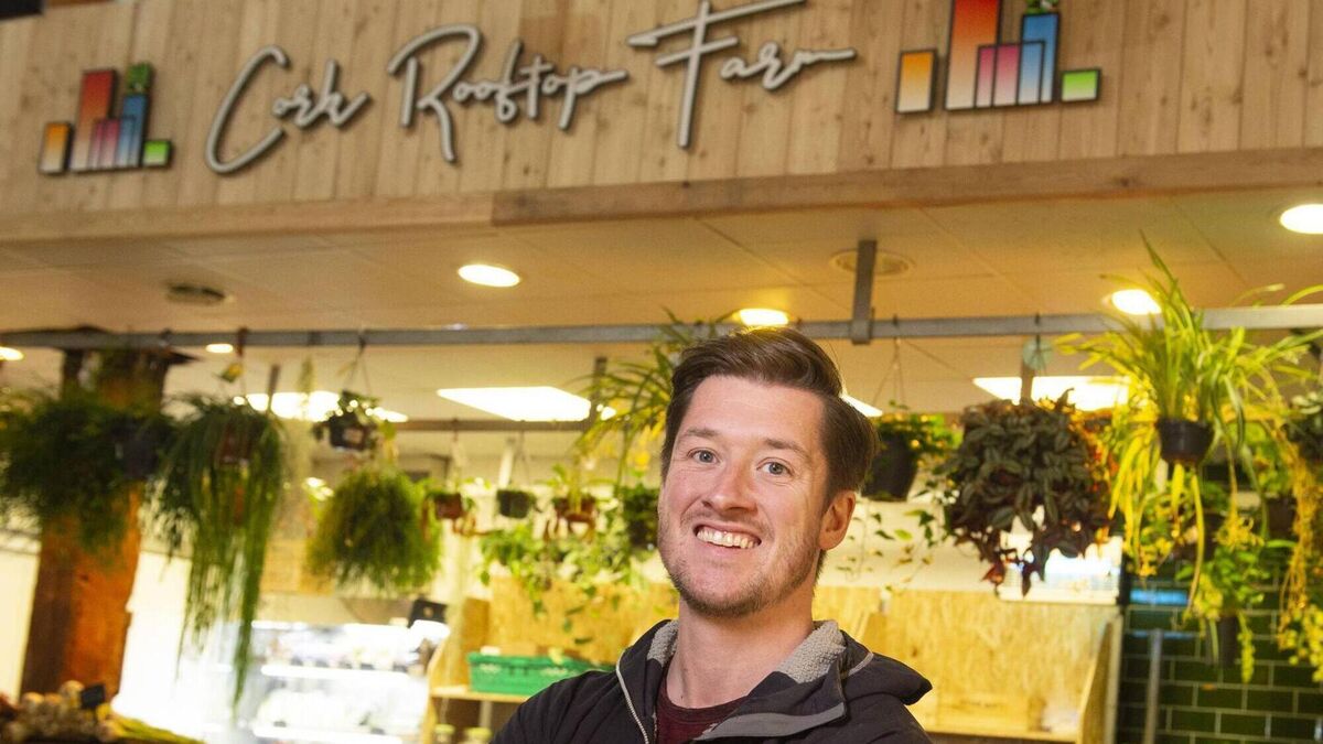 Cork Rooftop Farm is set for exciting expansion
