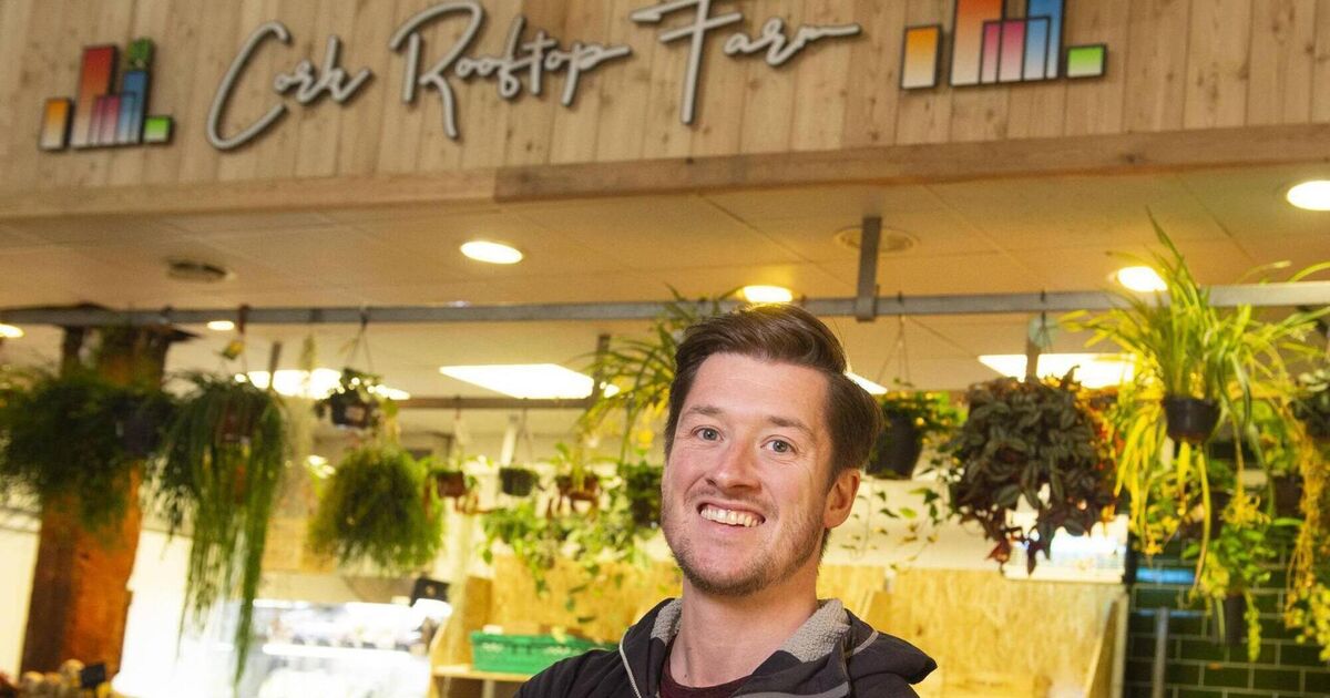 Cork Rooftop Farm está lista para una emocionante expansión Notiulti