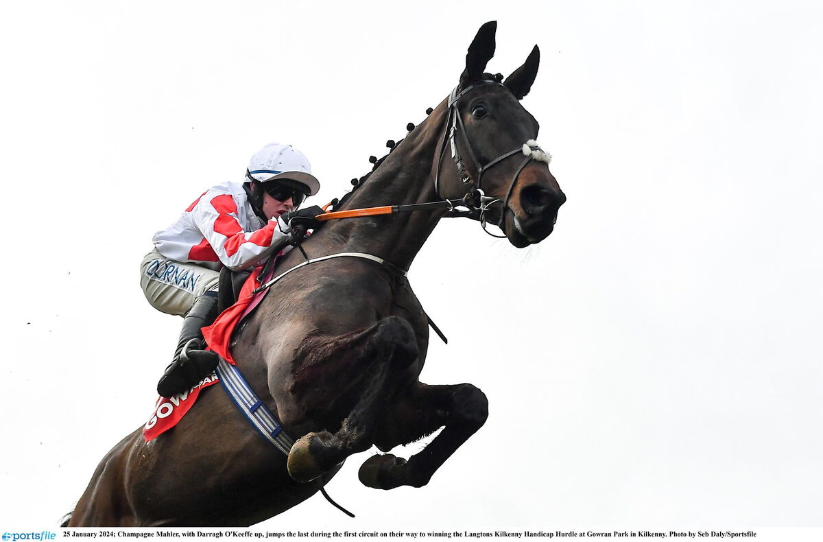 Champagne Mahler with Darragh O'Keeffe up, jumps the last. Picture: Seb Daly/Sportsfile