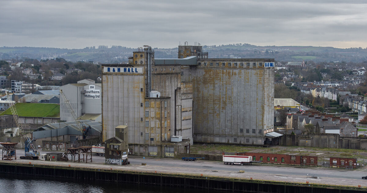 Works on major redevelopment of Cork's South Docks to get underway with demolition of R&H buildings - Vimarsana News