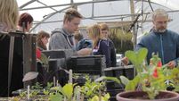 Here is how one Cork town is committed to shaping a greener future
