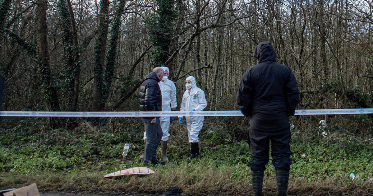 Investigation underway after skeletal remains discovered in East Cork - Vimarsana News