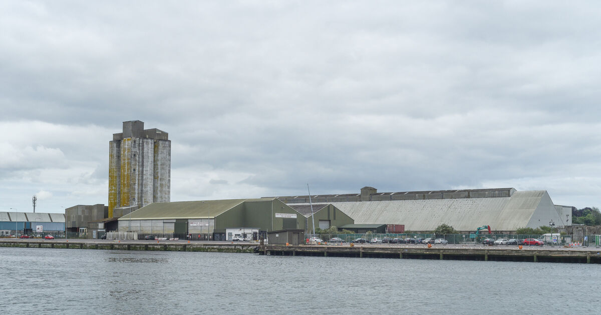 Outdoor swimming area could find home on rejuvenated Cork docklands - Vimarsana News