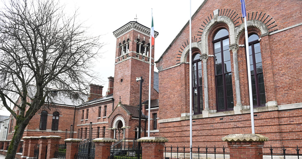 Woman arrested in Cork after drunken incident gave her name as 'Mona Lisa Margaret' - Vimarsana News