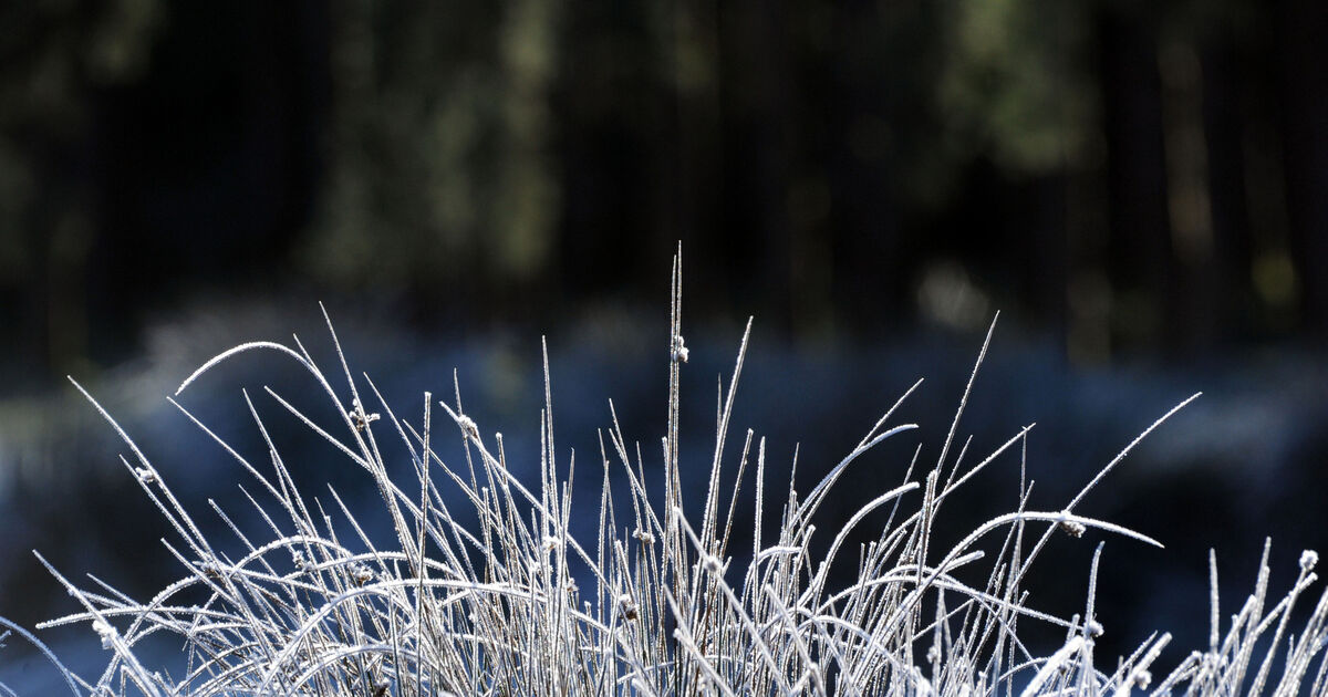 Fermoy weather station recorded the coldest January for 13 years - Vimarsana News