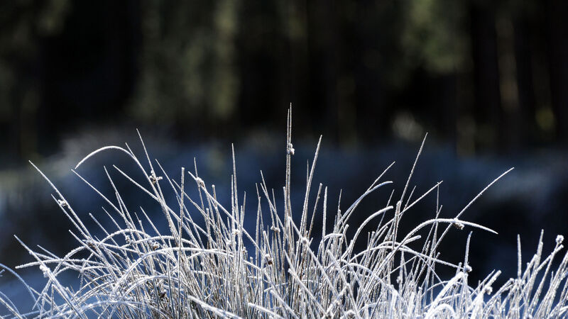 Fermoy weather station recorded the coldest January for 13 years Fermoy weather station recorded the coldest January for 13 years