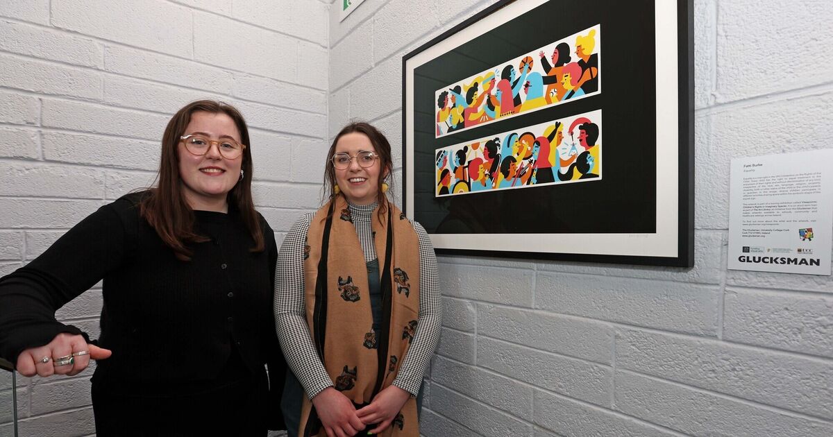Artworks by Fatti Burke and Shane O'Driscoll go on display in Mayfield as part of innovative project - Vimarsana News
