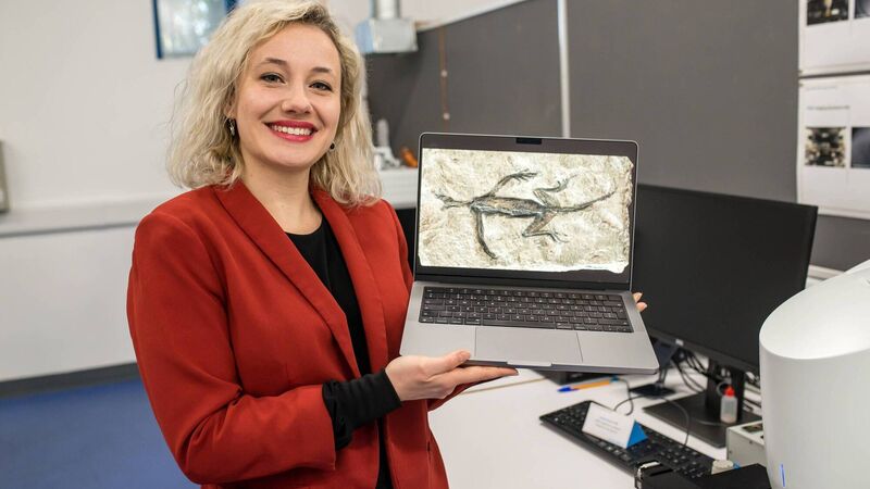 UCC analysis reveals Alps fossil is mostly a 'forgery' UCC analysis reveals Alps fossil is mostly a 'forgery'