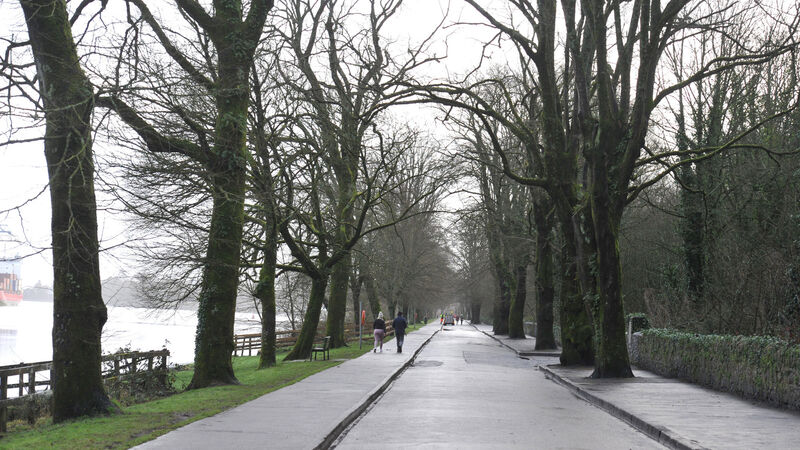 Funding for Marina walking and cycle facilities welcomed