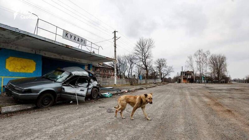 Cork charity founder pleads for aid ahead of Ukraine trip Cork charity founder pleads for aid ahead of Ukraine trip