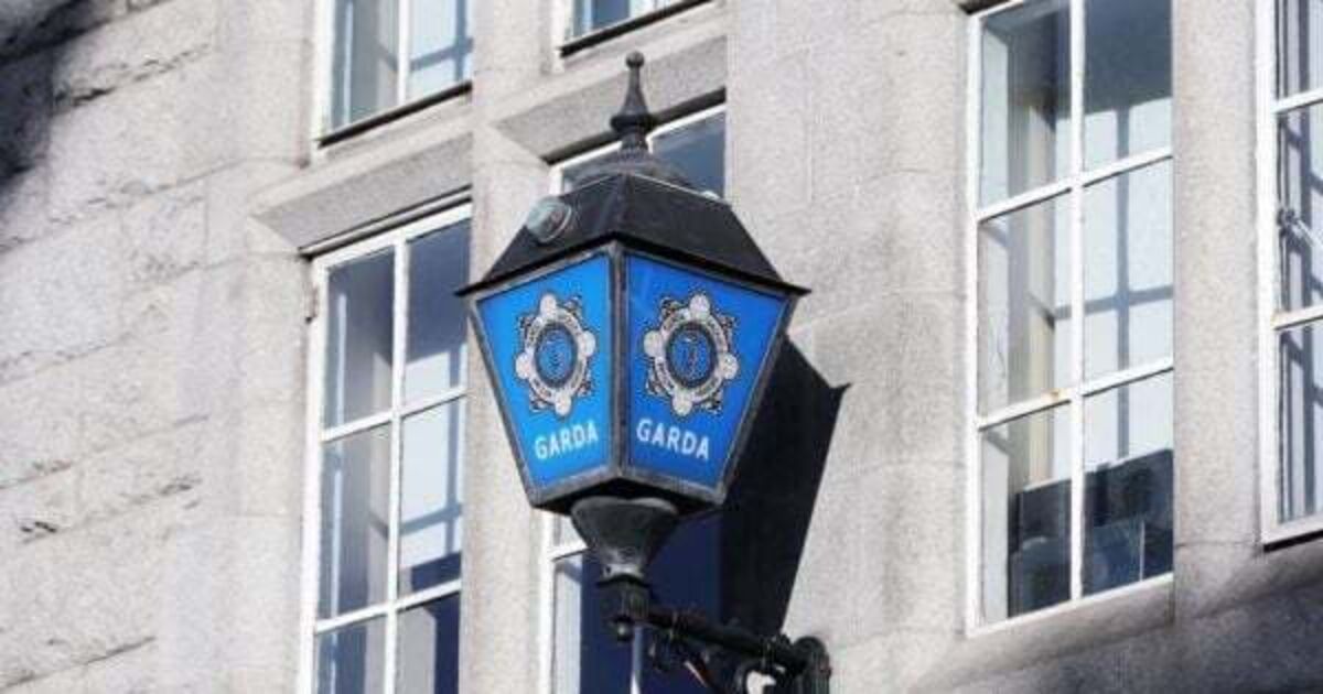 Two people arrested after guns and ammunition seized in Dublin - Vimarsana News