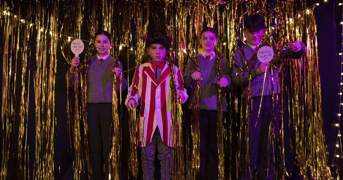200 films by budding directors to be screened at Cork's Regal - Vimarsana News