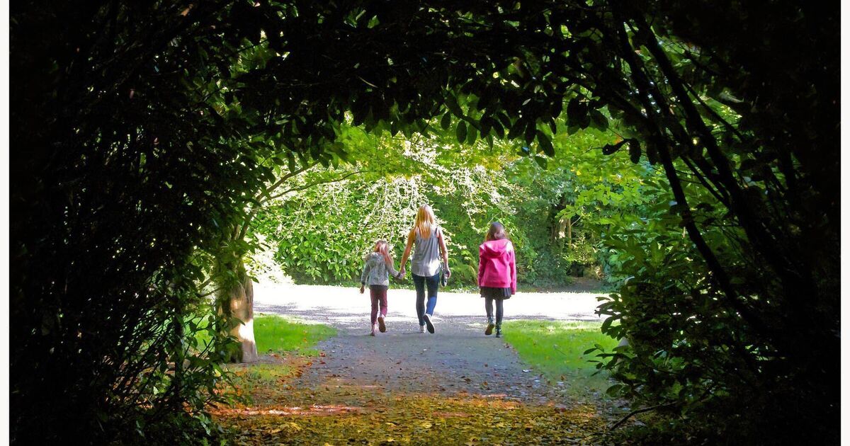 Great Cork family friendly places to visit - Vimarsana News