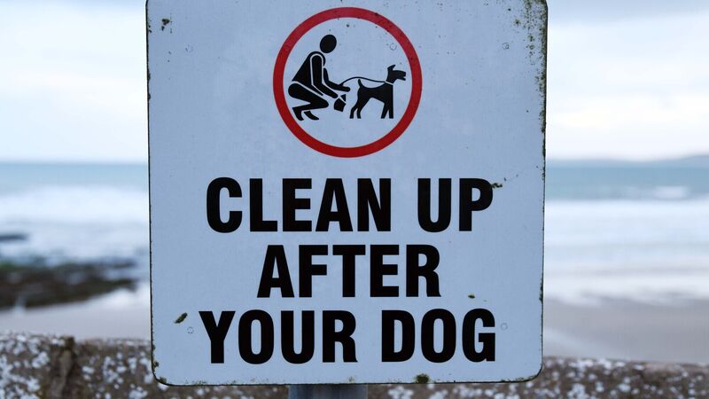 Kinsale businesses call for council action to clampdown on dog fouling