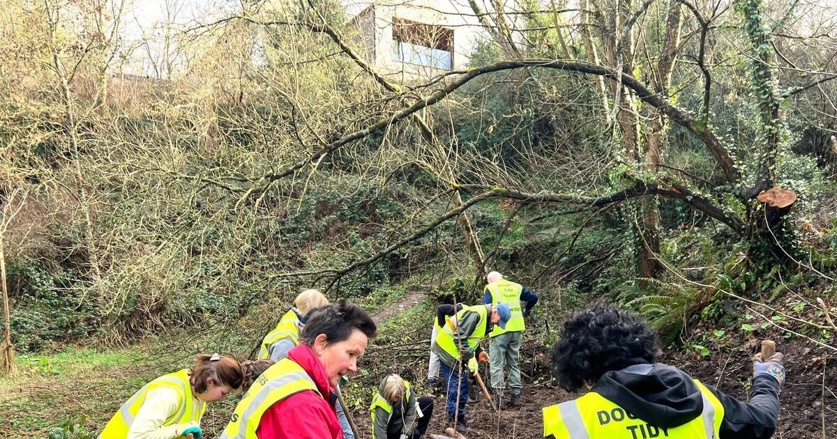 Tidy Towns volunteers dig in for biodiversity in Douglas - Vimarsana News