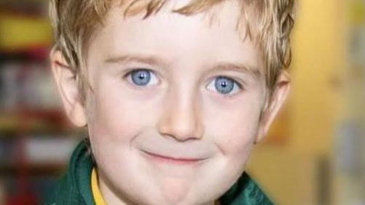 Mother of Matthew Healy further remanded in custody charged with his murder