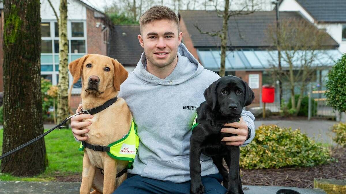 Cork's Jack Crowley appeals for volunteer families to raise a puppy