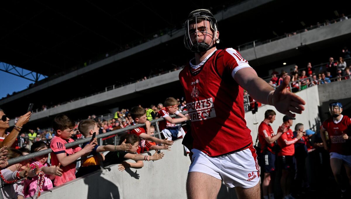 Darragh Fitzgibbon. Picture: David Fitzgerald/Sportsfile