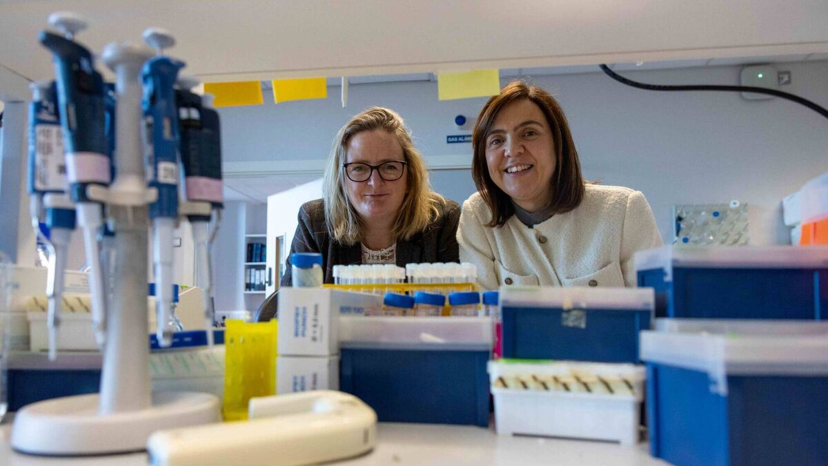 Funding will help team of researchers led by UCC scientist to battle blood infection