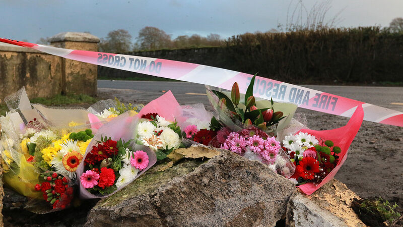 Cork student killed in Limerick crash is named