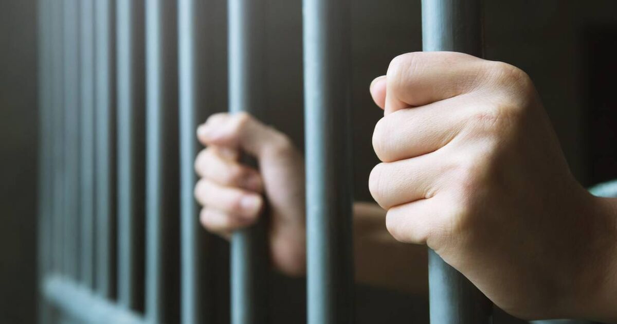Man jailed after 'a completely unprovoked attack' on retired neighbour - Vimarsana News