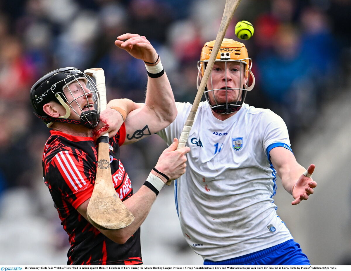 Seán Walsh of Waterford tussles with Damien Cahalane. Picture: Piaras Ó Mídheach/Sportsfile