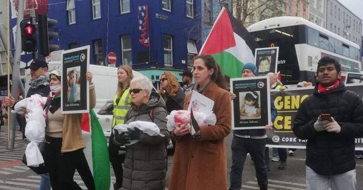 Cork mother and activist: 'It's only luck that separates our children and the children there' - Vimarsana News