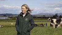 How green is my dairy?