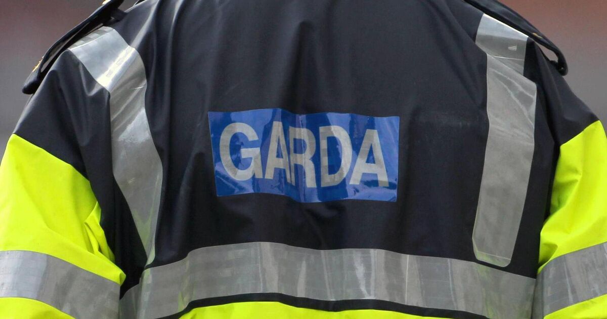 Woman bit garda's hand during arrest, Cork court told - Vimarsana News