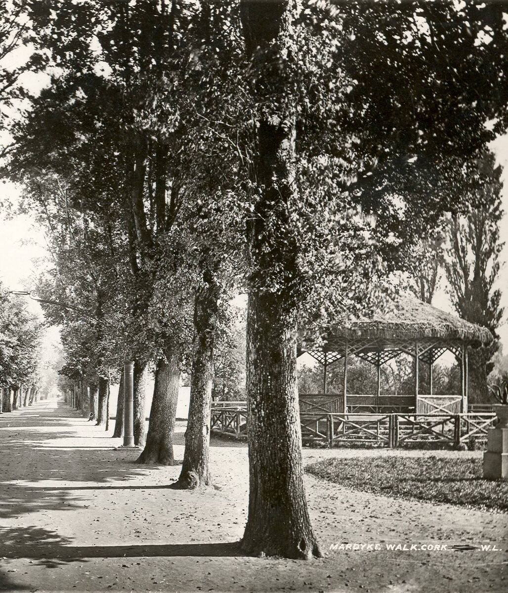 A romantic view of the Mardyke Walk in the second half of the 19th century. On the right, can be seen the wooden Band Stand in the Band Field. In the spring of 1982, after serving the people of Cork for well over a century, work commenced on the Band Field for the two-lane roadway link-up between Western Road and the Mardyke Walk. During its construction, many healthy, stately trees were cut down and rooted-up and wooden seats were removed. In addition, the two-foot-high octagon concrete band platform base, which replaced the old wooden Band Stand in the 1950s, where brass and reed bands entertained generations of music enthusiasts, marched into the archives of the past, leaving the Mardyke without a bandstand. The recitals then had to be rendered by the bandsmen standing against the west wall of the field; and when the roadway was completed at the end of the said year, it ended an era of music tradition on the Dyke. The Band Field and the Mardyke Walk had now become a speedway. Photograph 1: Mardyke Walk, Courtesy: Cork City Library A romantic view of the Mardyke Walk in the second half of the 19th century. On the right, can be seen the wooden Band Stand in the Band Field. In the spring of 1982, after serving the people of Cork for well over a century, work commenced on the Band Field for the two-lane roadway link-up between Western Road and the Mardyke Walk. During its construction, many healthy, stately trees were cut down and rooted-up and wooden seats were removed. In addition, the two-foot-high octagon concrete band platform base, which replaced the old wooden Band Stand in the 1950s, where brass and reed bands entertained generations of music enthusiasts, marched into the archives of the past, leaving the Mardyke without a bandstand. The recitals then had to be rendered by the bandsmen standing against the west wall of the field; and when the roadway was completed at the end of the said year, it ended an era of music tradition on the Dyke. The Band Field and the Mardyke Walk had now become a speedway. Photograph 1: Mardyke Walk, Courtesy: Cork City Library
