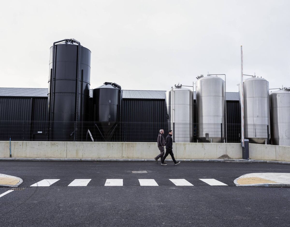 Ireland’s first co-located brewery and distillery, Blacks of Kinsale. Ireland’s first co-located brewery and distillery, Blacks of Kinsale.